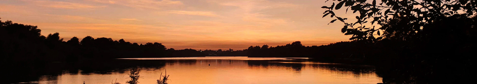 Anglia House Clearance banner image